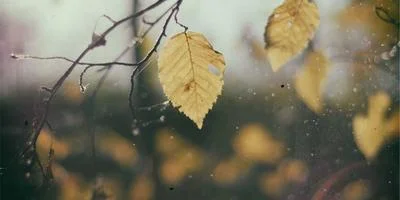 QQ空间点赞场景